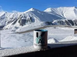 Chalet Gudauri
