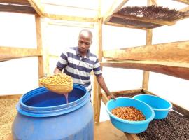 Sipi Coffee Tour Experience, hotel a Sipi