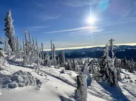 Apartments bei Familie Liebl