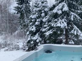 Room with sauna and jacuzzi, hotel s vířivkou v destinaci Siilinjärvi