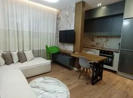 Ea's Luxury Apartments Korca