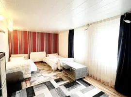 Wiesbaden Mainz kleines Haus mit Garten Grill