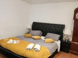Cosy Studio Flat
