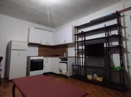 Dvosoban stan u Beogradu