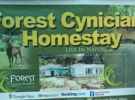 Forest Cyniciam Homestay