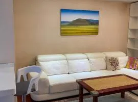TP Central comfort Apartment 1 bedroom