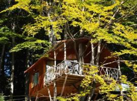 Harmonie Tree house Cotagges Chalet Predeal Trei Brazi, hotel a Predeal