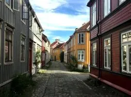 Lite studioleilighet meget sentralt i sentrum, 3 minutter fra torget