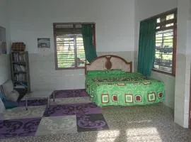 Farm House , Mountain View, Coffee Vegetable Farm BATU CITY