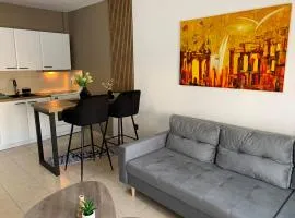 BA cozy central apartment