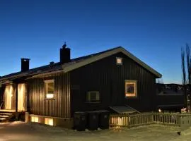 Spacious house close to Ski World Championship