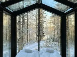 Sky Lodging ~ sleeping under the stars