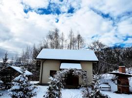 Cabana 7 Brazi, hotel en Poiana Mărului