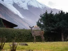 Chalet la Pagode, vue Mont-Blanc et jardin privé、シャモニー・モンブランのアパートメント