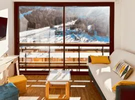 Le Haut Griou aux pieds sur les pistes, 8pers, cœur station, Le Lioran