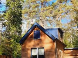 Vrijstaand in het bos met privé sauna