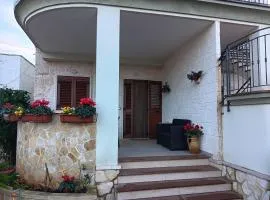 B&B Cardone