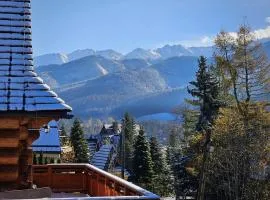 Kameralny Apartament Chateau Karpielówka Kościelisko z widokiem i wlasnym garażem