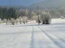 Forestside House Gacka with relax area