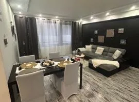 Coquet appartement, quartier historique de Metz centre