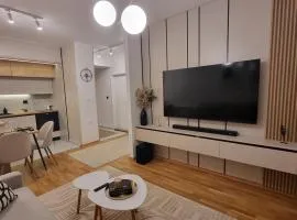Luxury Gold Apartment