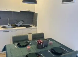 Apartman B64 Residence Hill Kopaonik