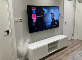 Spacious Executive 1BR Apartment