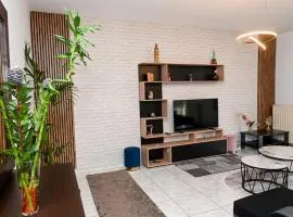 Central appartment