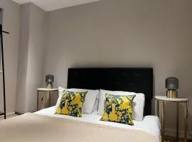 Comfortable room in a luxurious apt with parking in Blackheath