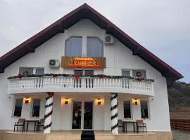 Pensiunea Domnika