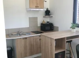 Studio Tiny House