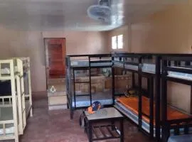 The Roaming Nest - Panglao