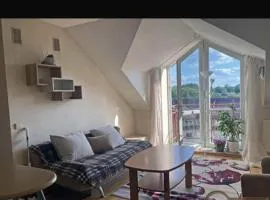 Velux