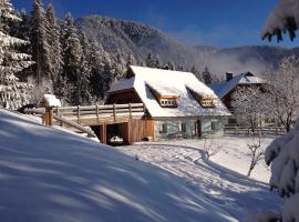 La Lince Lodge, отель в городе Кампороссо-ин-Вальканале