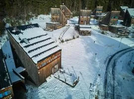 Chalet Harrachov 665 by Interhome