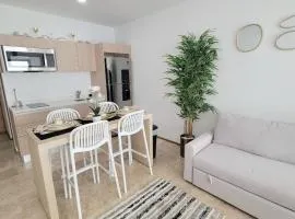 Condo en el corazon de Playa del Carmen
