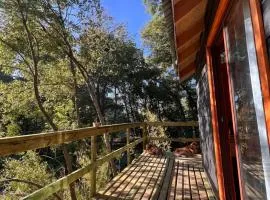 Tiny house los Lleuques