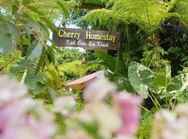 Cherry homestay bmt phòng đôi gia đình