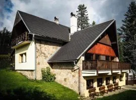 Villa in Staré Hamry near Ski Park Grun