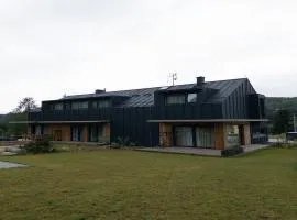 Chalet in Cerny Dul near SkiResort Cerná Hora