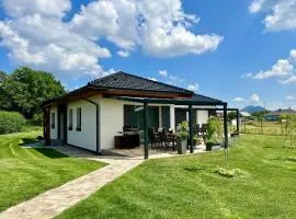 Villa in Doksy with barbecue