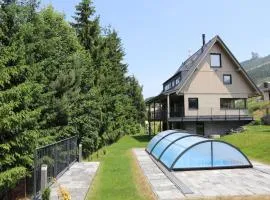 Villa in Dolní Morava near Ski Slopes