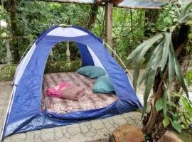 Glamping Macacu