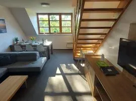 Wellness apartmány Říčky v Orlických horách