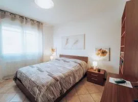 Civetta 14
