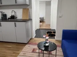 Entire Apartment 50 sqm Modern & Free Parking