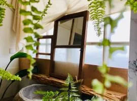 HomeOne36 后灣灣inn 微型包棟