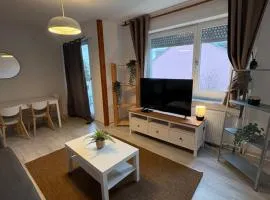 Escapade Familiale - parking privé - 25 min de Bâle
