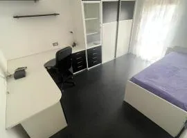 Žic