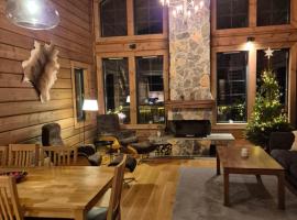 Idre Mountain Lodge with Sauna by Golf course，位于伊德勒的酒店
